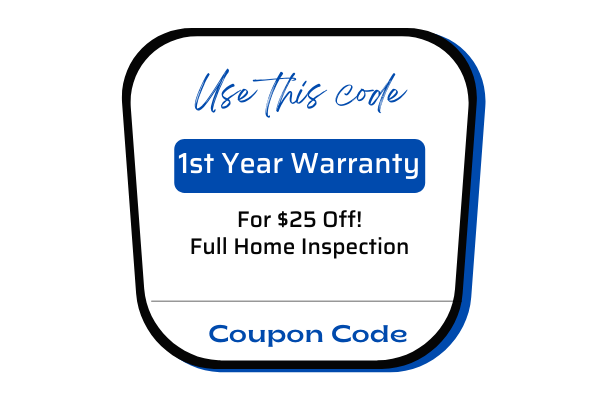 First Year Warranty